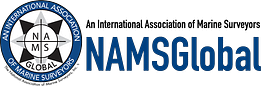 NAMSGlobal_logo